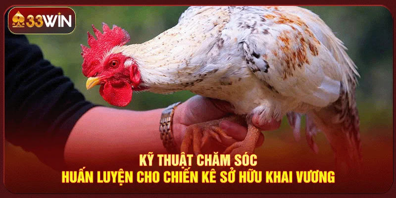 Vảy Gà Khai Vương