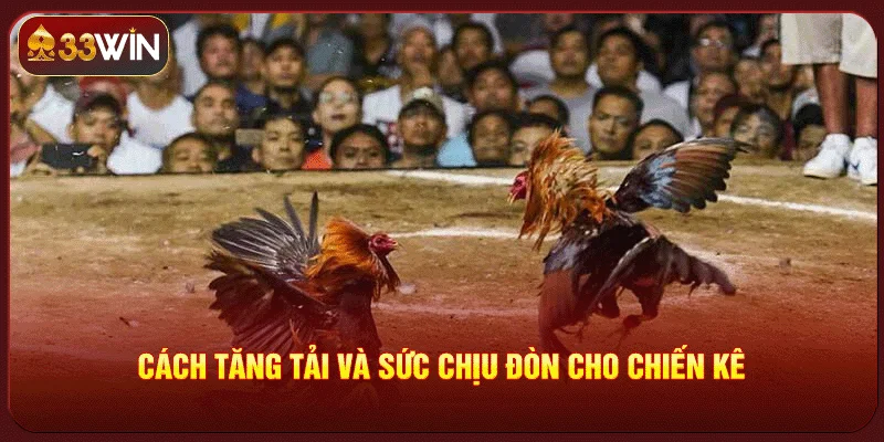 Kỹ Thuật Vần Nghệ Gà Đá